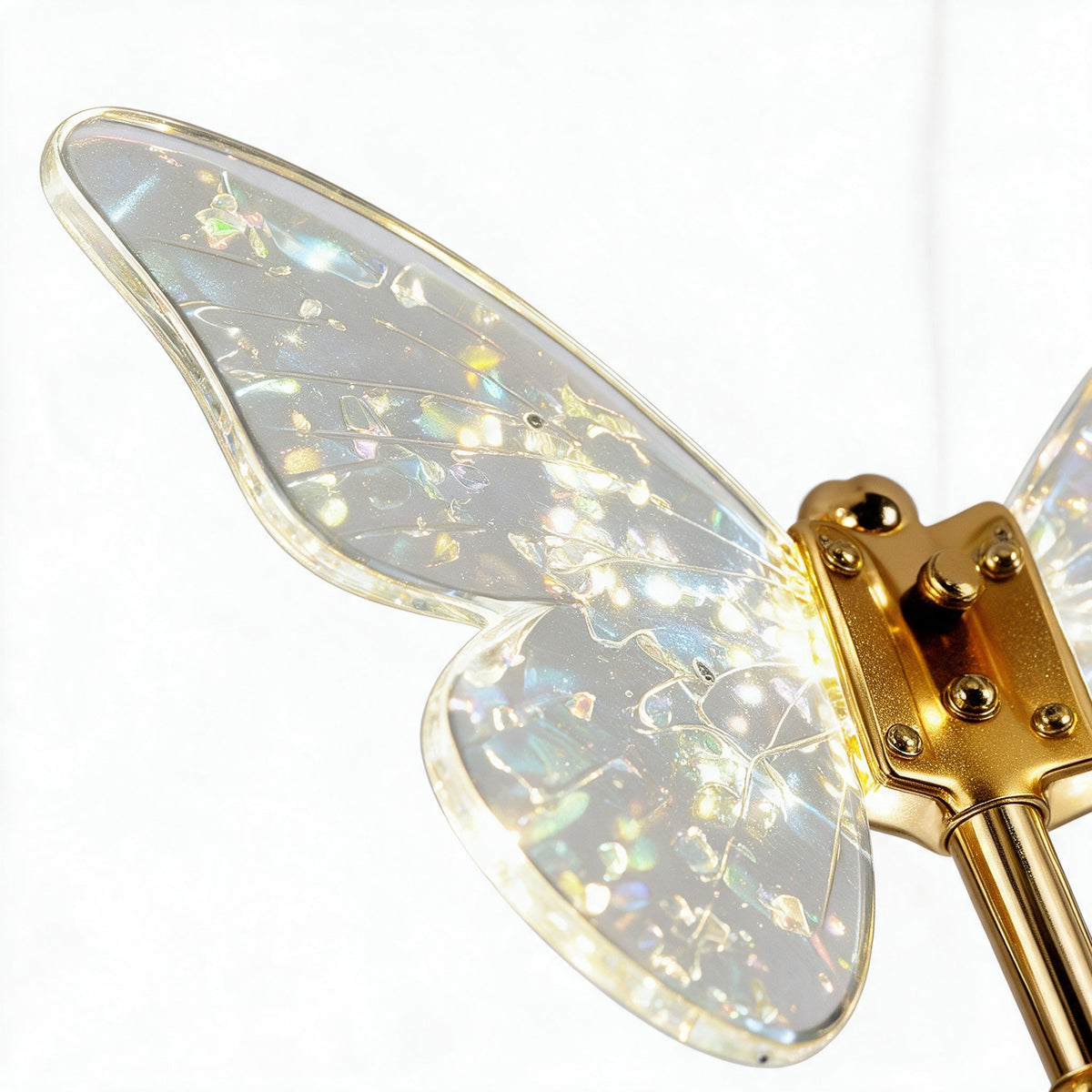 Papillon — détail macro d'une aile irisée et de son corps doré